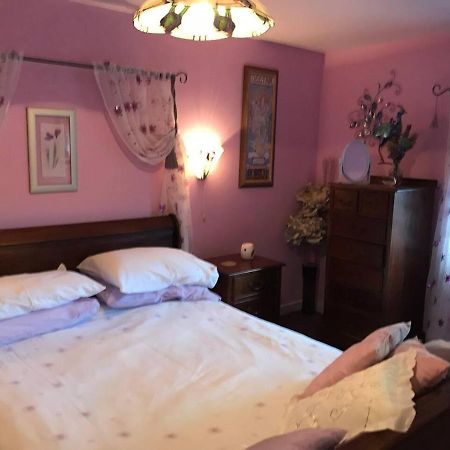 Cosy Cottage For Ecotourism Lovers Near Corwen Exteriör bild
