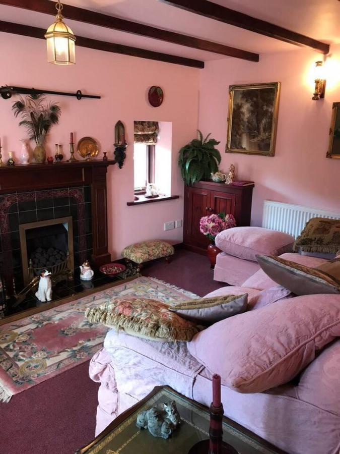 Cosy Cottage For Ecotourism Lovers Near Corwen Exteriör bild