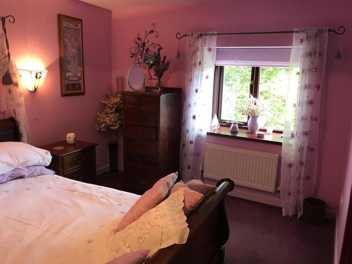 Cosy Cottage For Ecotourism Lovers Near Corwen Exteriör bild