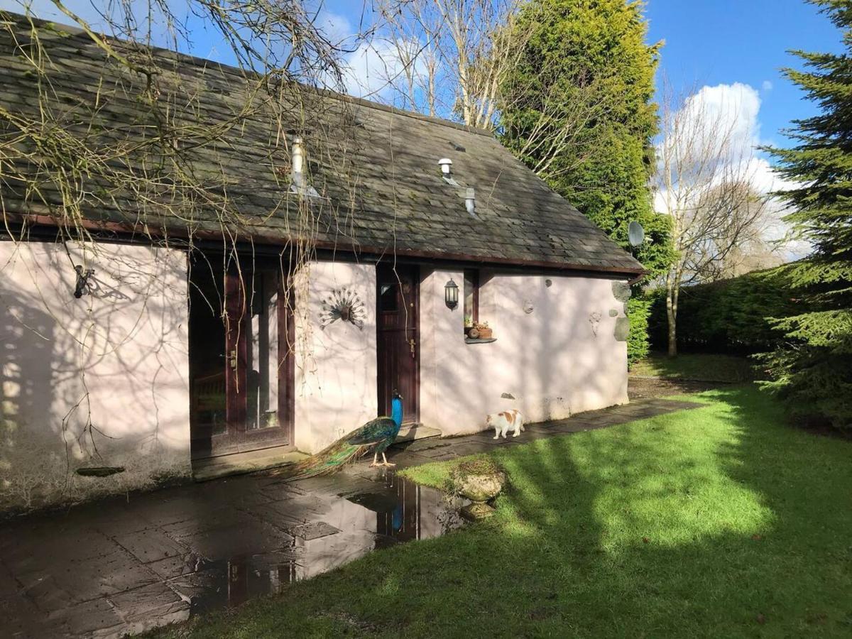 Cosy Cottage For Ecotourism Lovers Near Corwen Exteriör bild