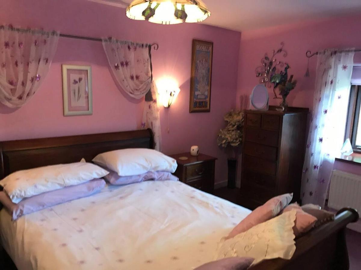 Cosy Cottage For Ecotourism Lovers Near Corwen Exteriör bild