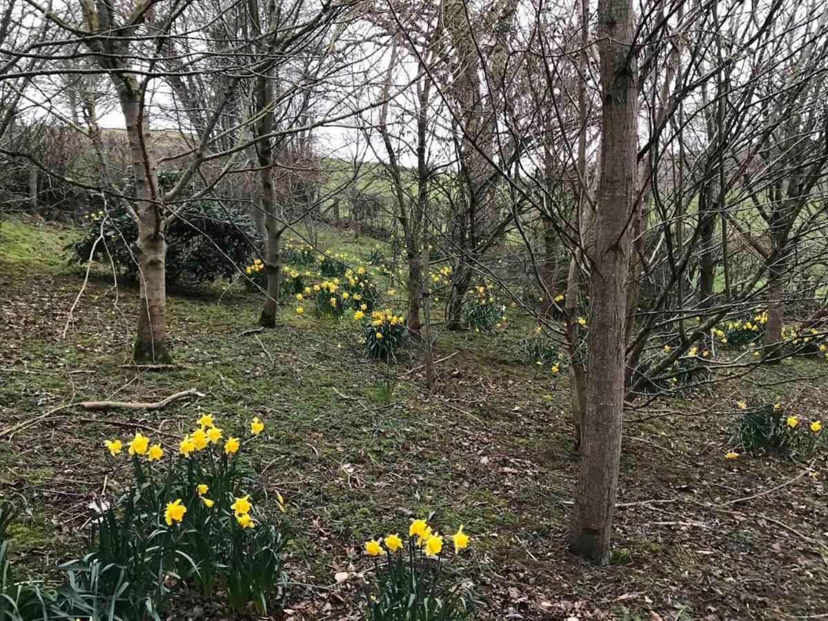 Cosy Cottage For Ecotourism Lovers Near Corwen Exteriör bild