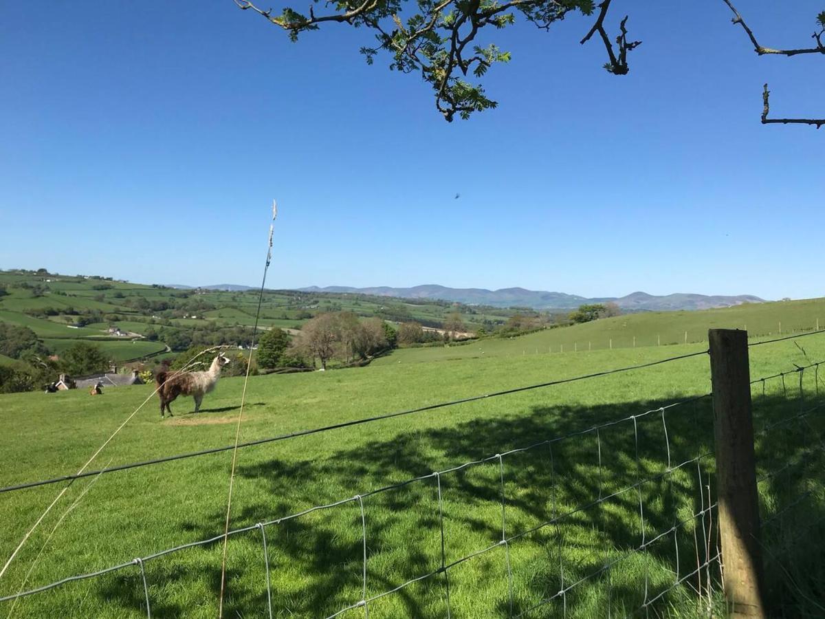 Cosy Cottage For Ecotourism Lovers Near Corwen Exteriör bild