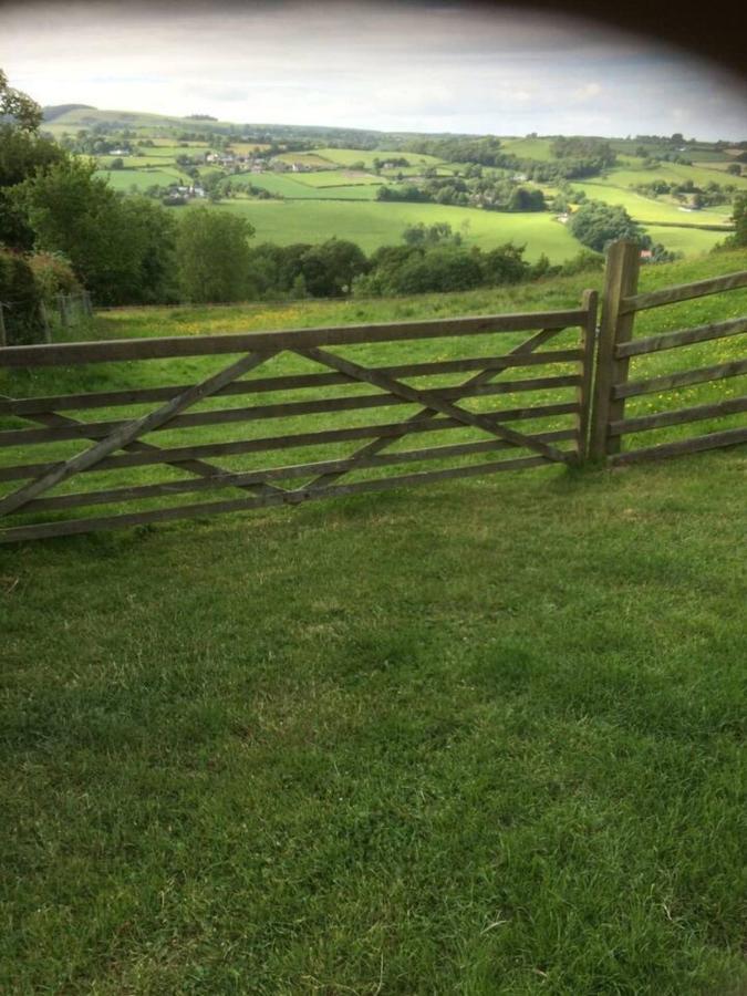Cosy Cottage For Ecotourism Lovers Near Corwen Exteriör bild